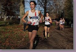 Begles 15.12.13 01 752 * 679 x 453 * (159KB)